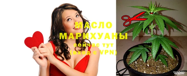 стаф Бородино