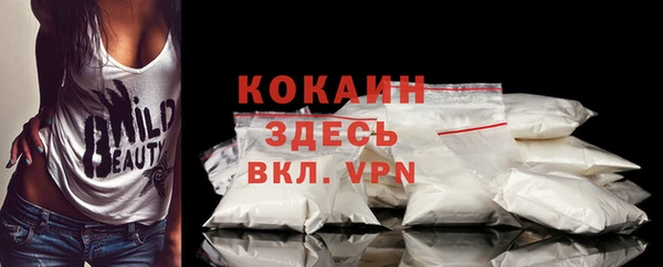 СК Бронницы