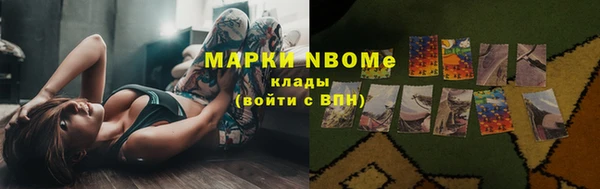 СК Бронницы