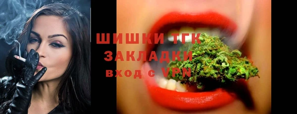 СК Бронницы