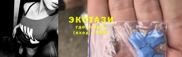 стаф Бородино