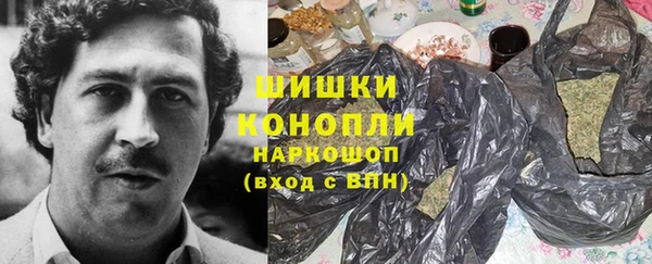 стаф Бородино