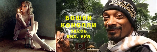 стаф Бородино