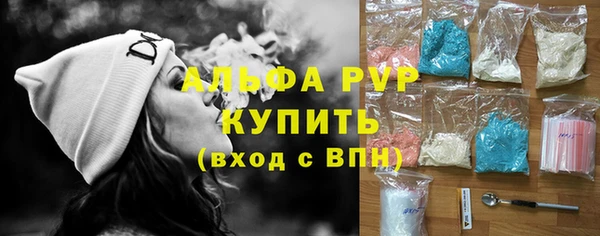 СК Бронницы