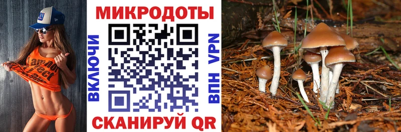 Галлюциногенные грибы Magic Shrooms  Купить где  Шарья 