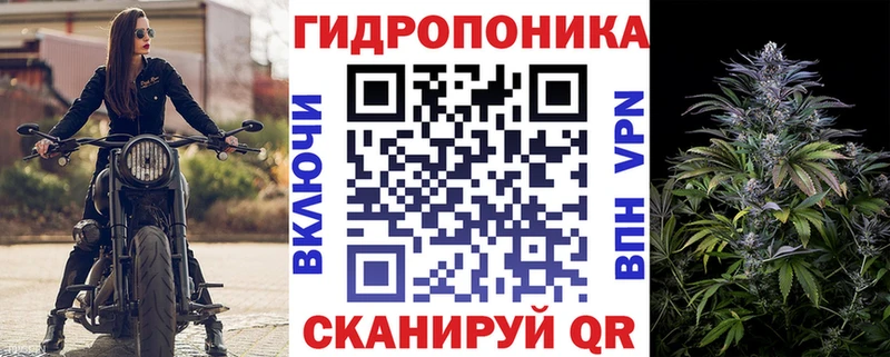 Купить закладки  Шарья  МАРИХУАНА AK-47 